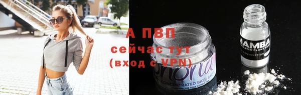 СК Михайловка