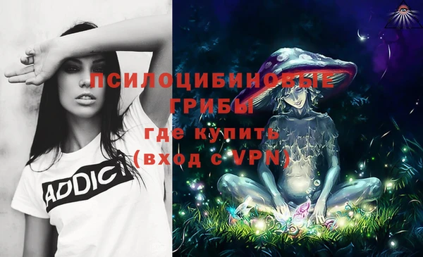 альфа пвп Михайловск