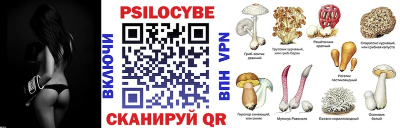 Галлюциногенные грибы Psilocybe  Купить где  Тюмень 